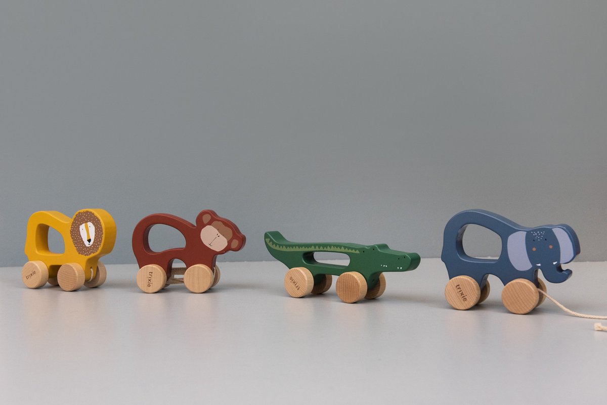 Trixie Houten Trekspeeltje - Mr. Lion