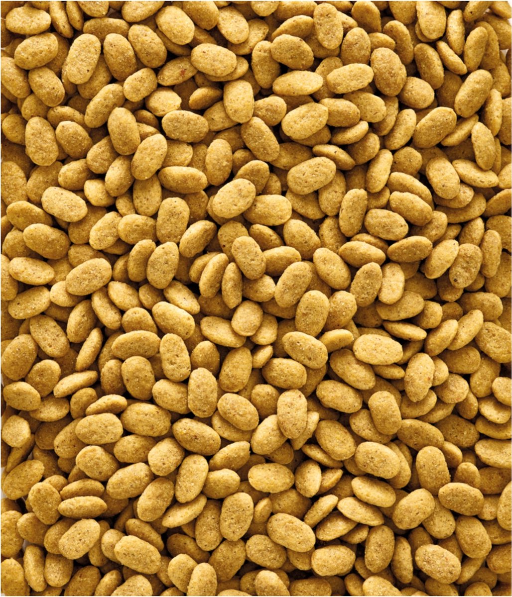 Versele-Laga P15 Original Papegaai - Vogelvoer - 10 kg