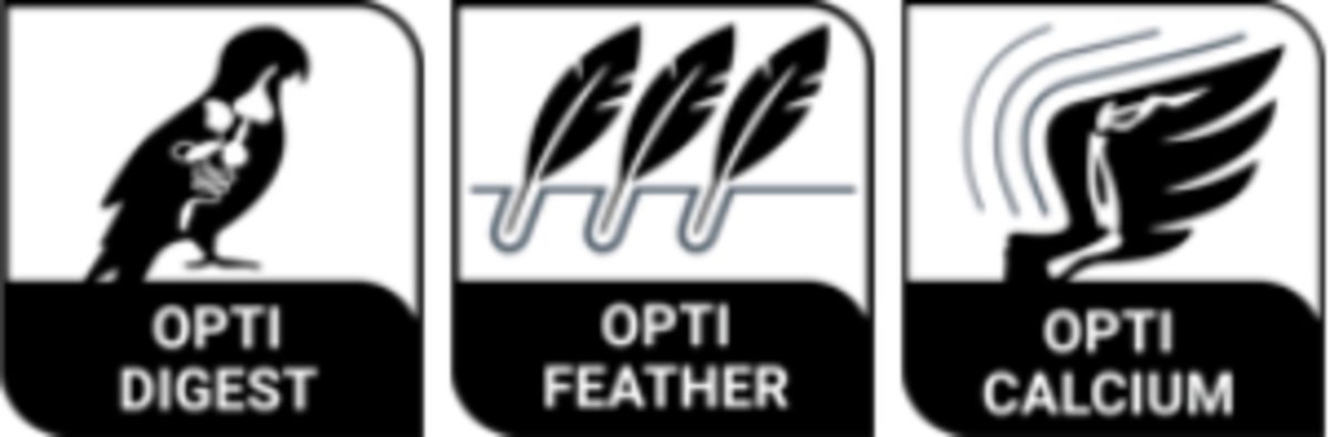 Versele-Laga P15 Original Papegaai - Vogelvoer - 1 kg