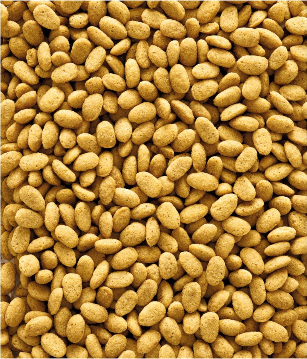 Versele-Laga P19 Original Papegaai Kweekvoer - Vogelvoer - 10 kg