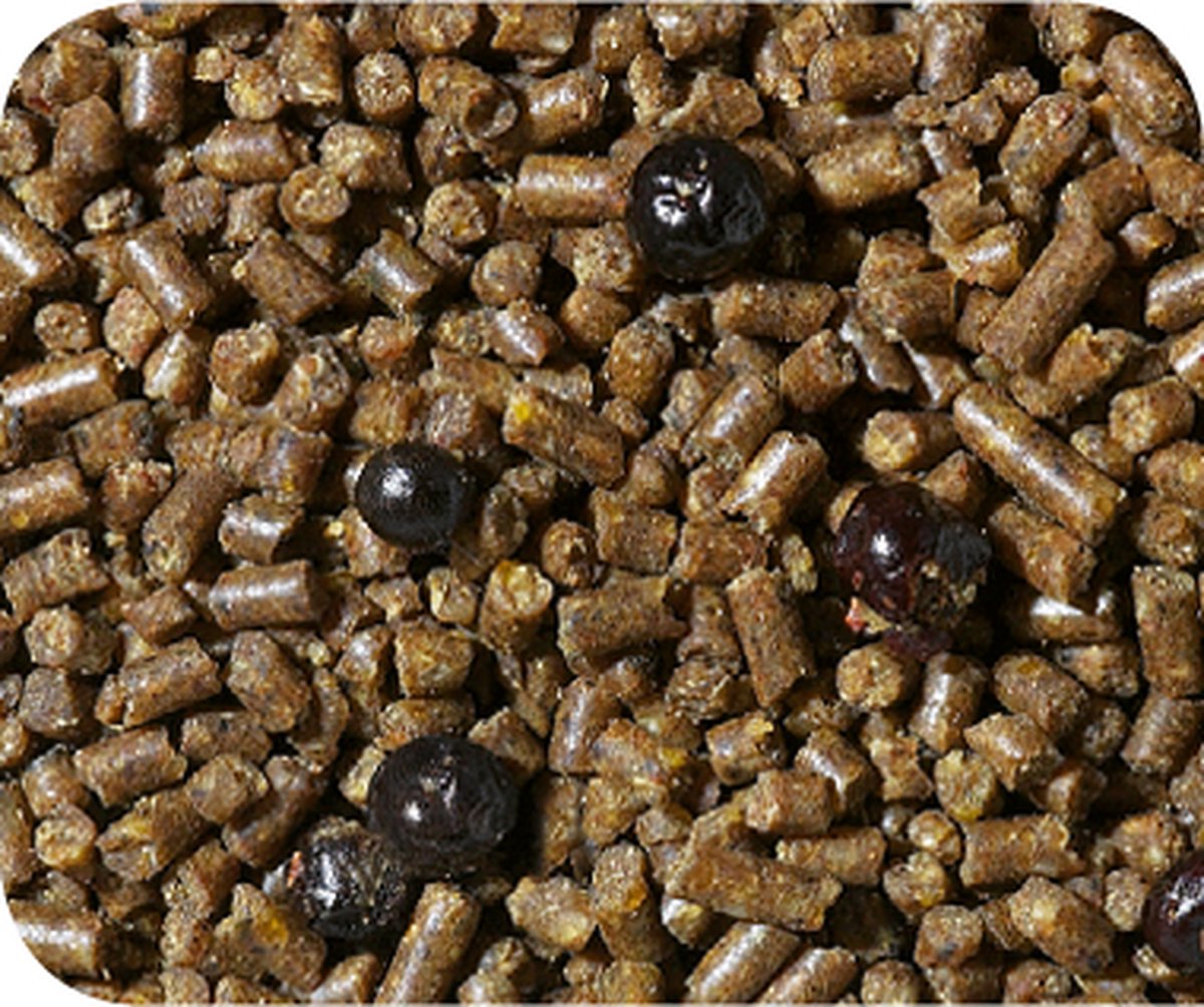 Versele-Laga Remiline Pateekorrel - Vogelvoer - 1 kg