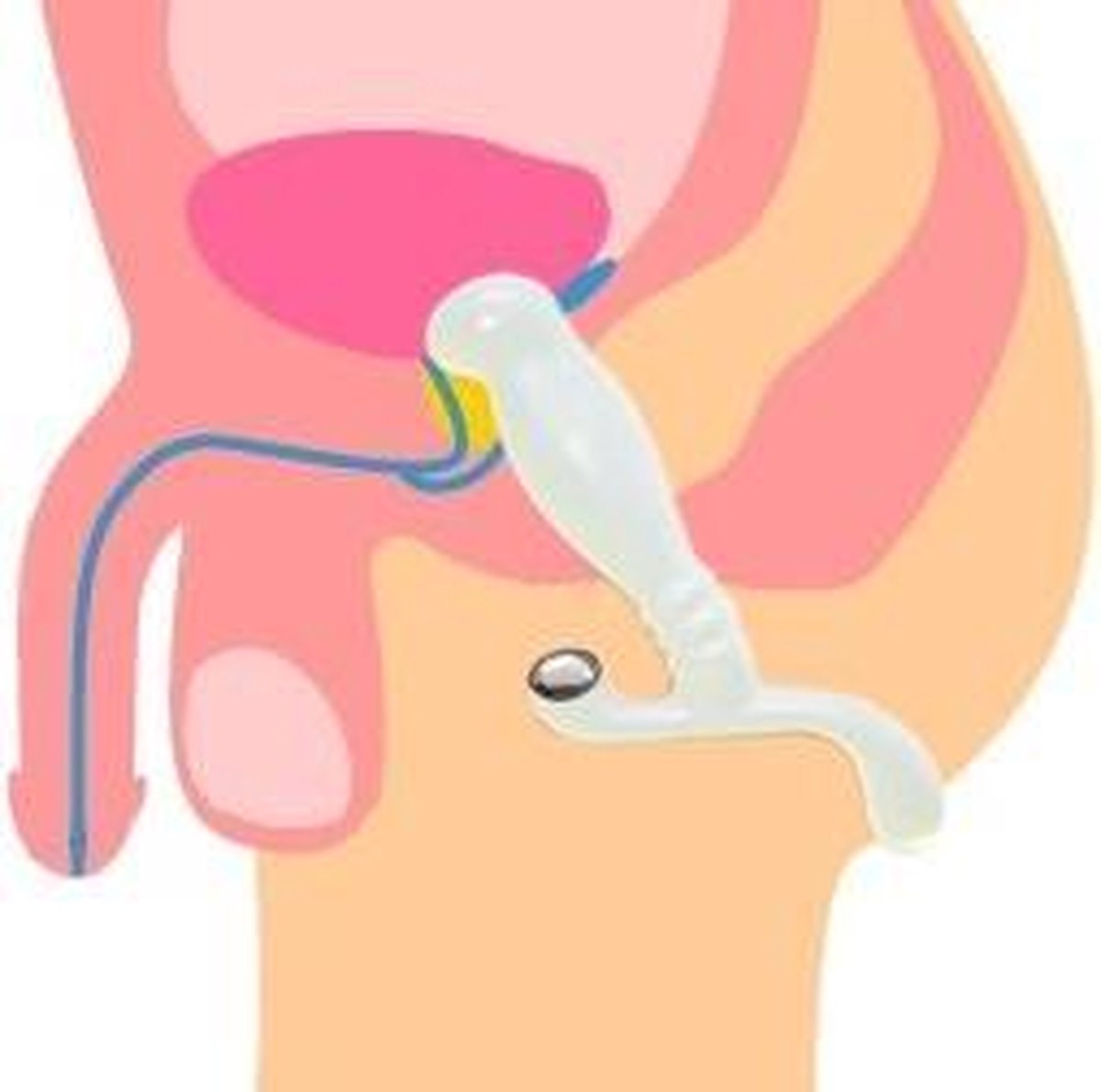 Nexus - Glide Prostaat Stimulator - - Zwart