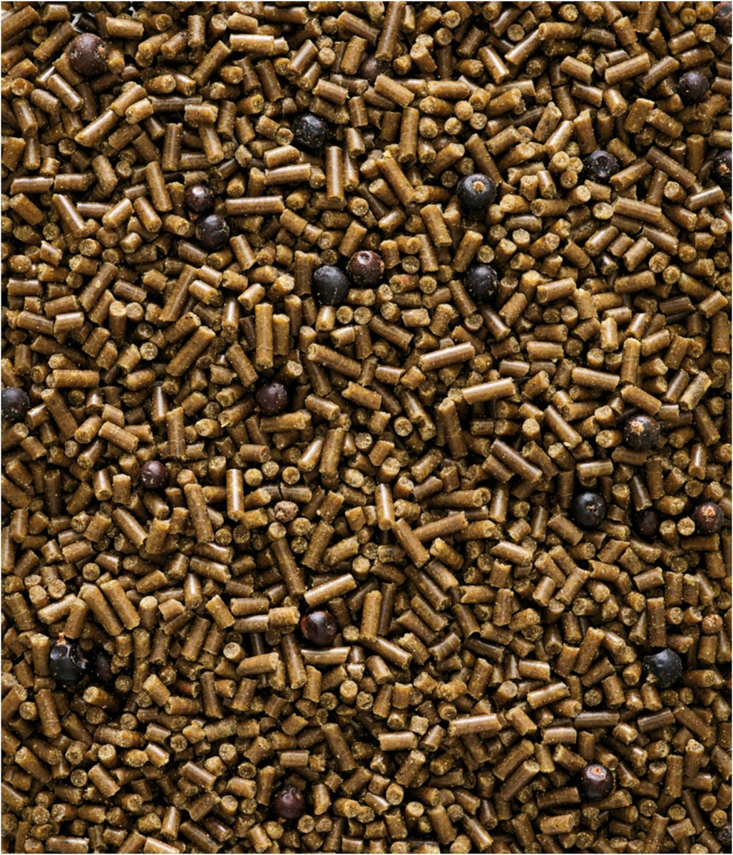 Versele-Laga Remiline Pateekorrel - Vogelvoer - 25 kg