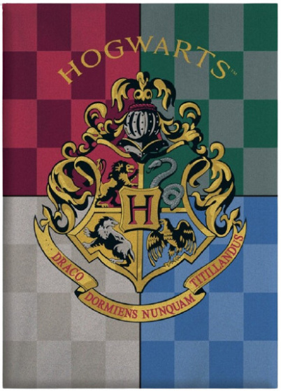 Harry Potter fleecedeken Hogwarts junior 110 x 140 cm