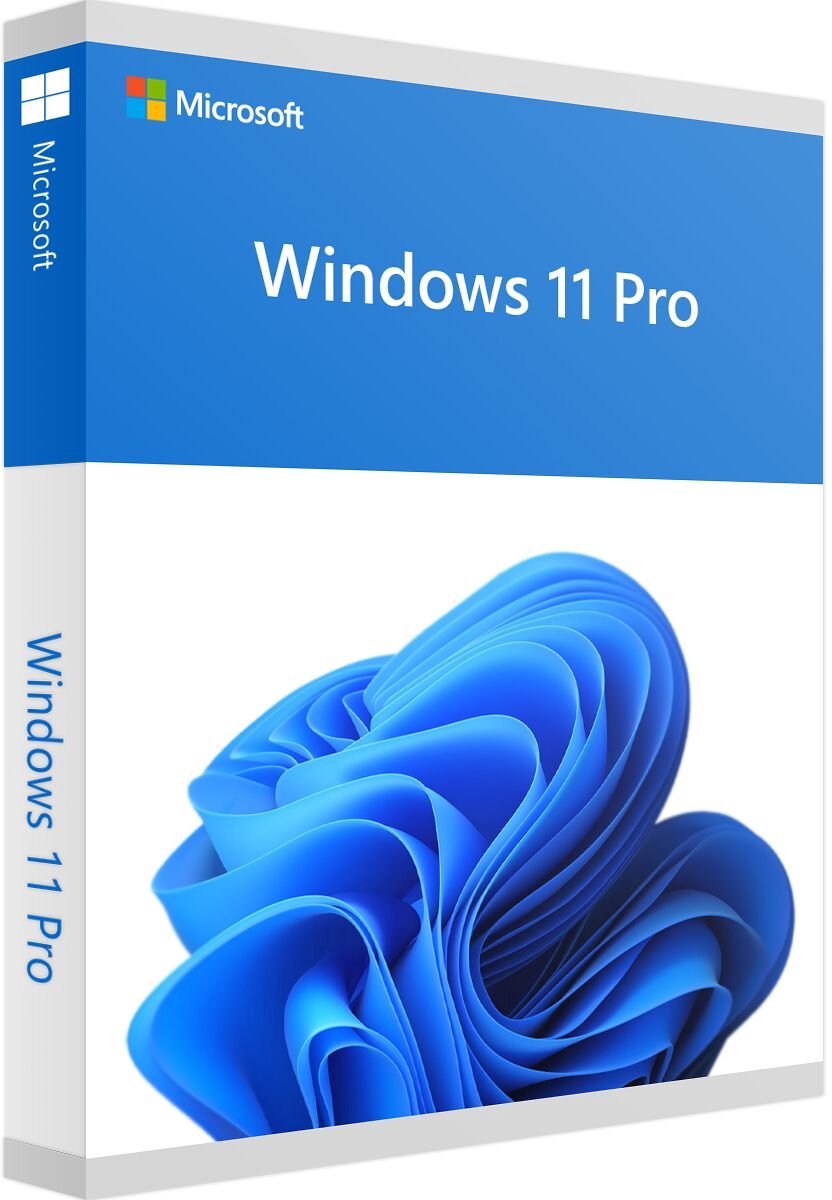 Back-to-School Sales2 Windows 11 Pro - Nederlands - DVD