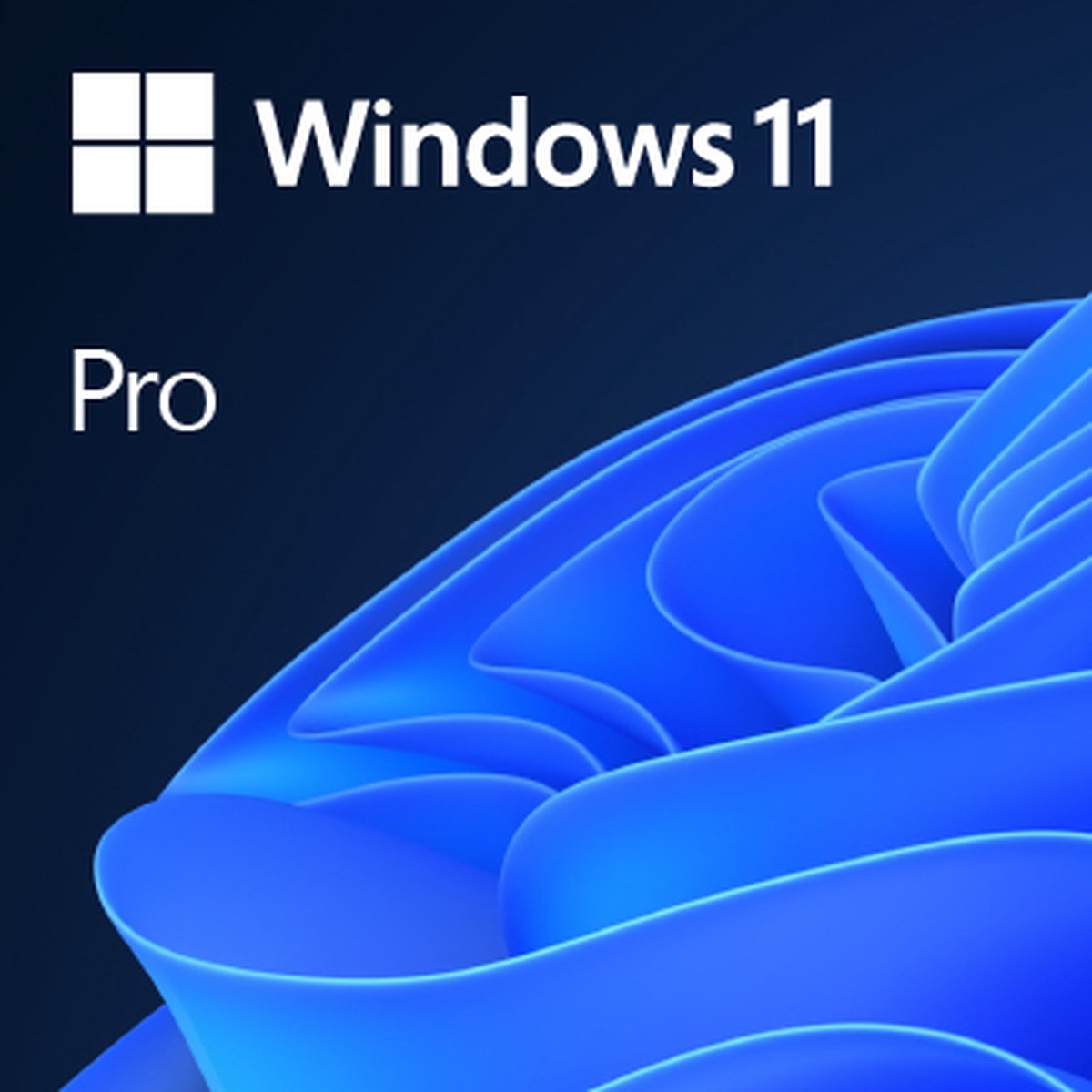 Back-to-School Sales2 Windows 11 Pro - Nederlands - DVD