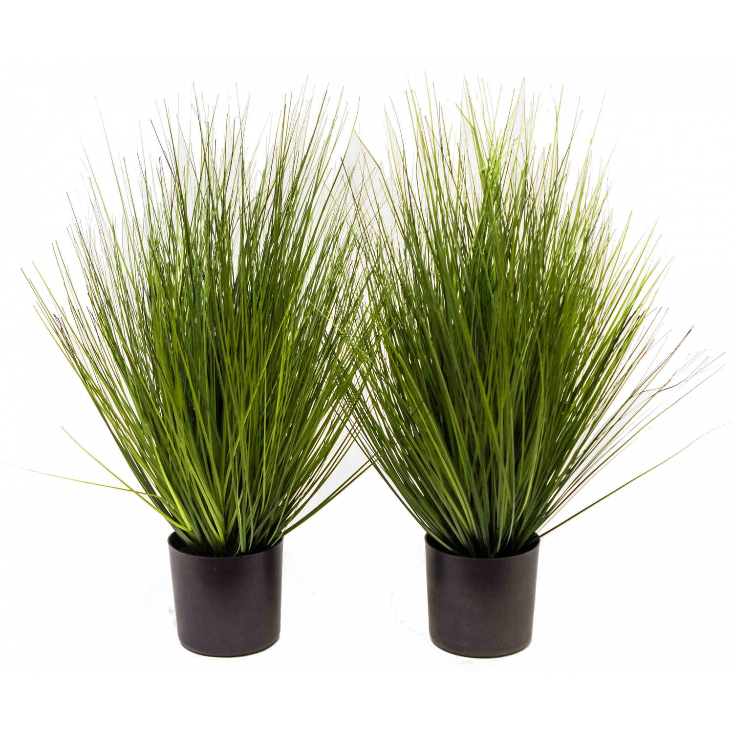 Gifts Amsterdam Kunstgras In Pot King Festuca 60 Cm - Groen