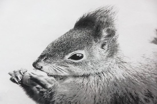 Papillon Dekbedovertrek Rebbel-140 X 200/220 - Wit