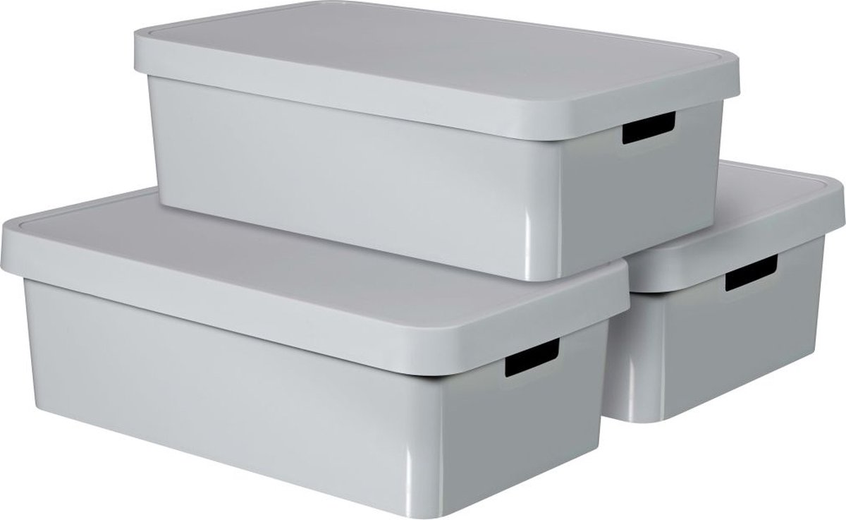 Curver Opbergbox met deksel Infinity 3 st 30 L - Grijs