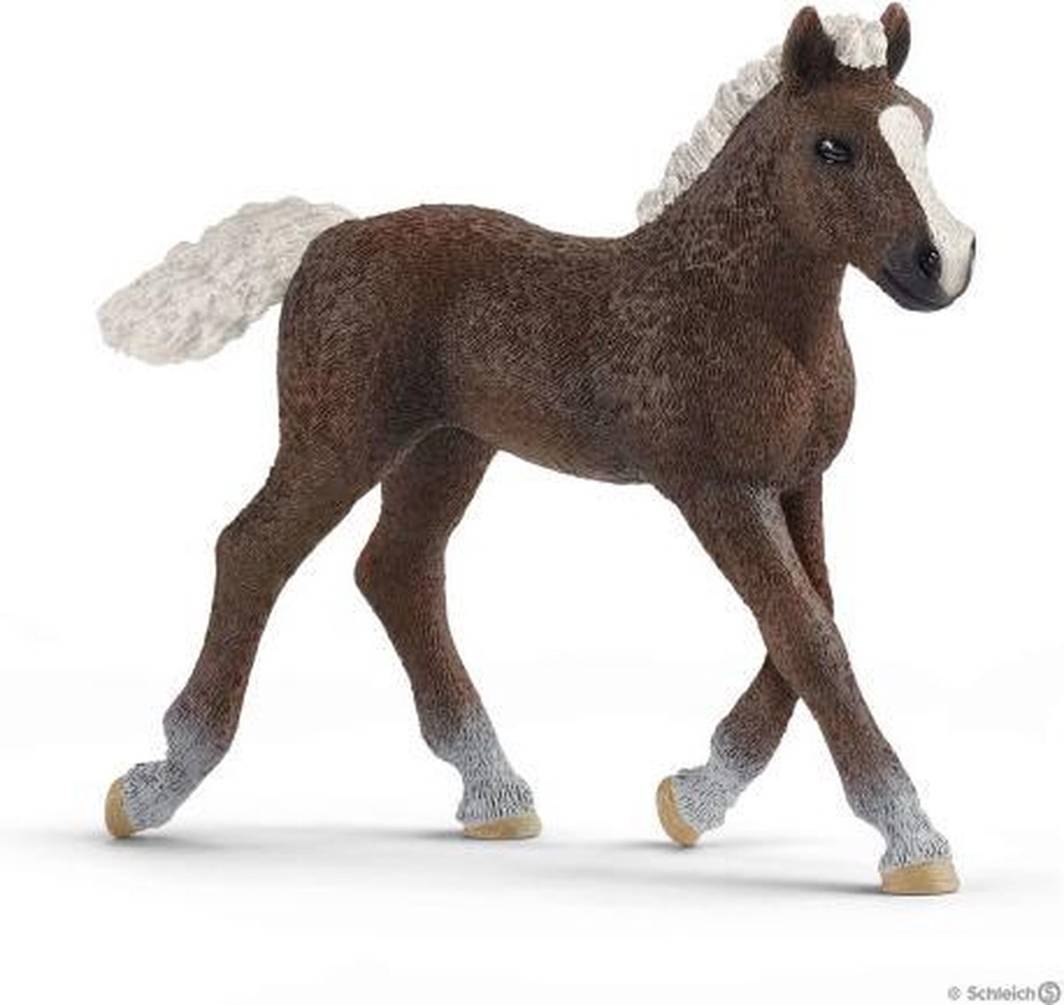 Schleich 13899 Schwarzwälder Veulen - Bruin