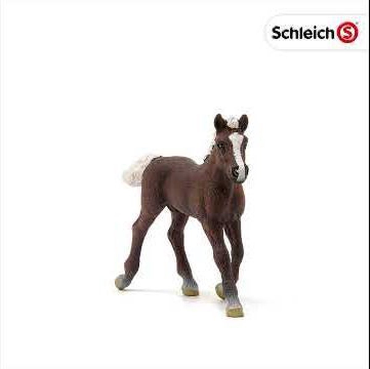 Schleich 13899 Schwarzwälder Veulen - Bruin
