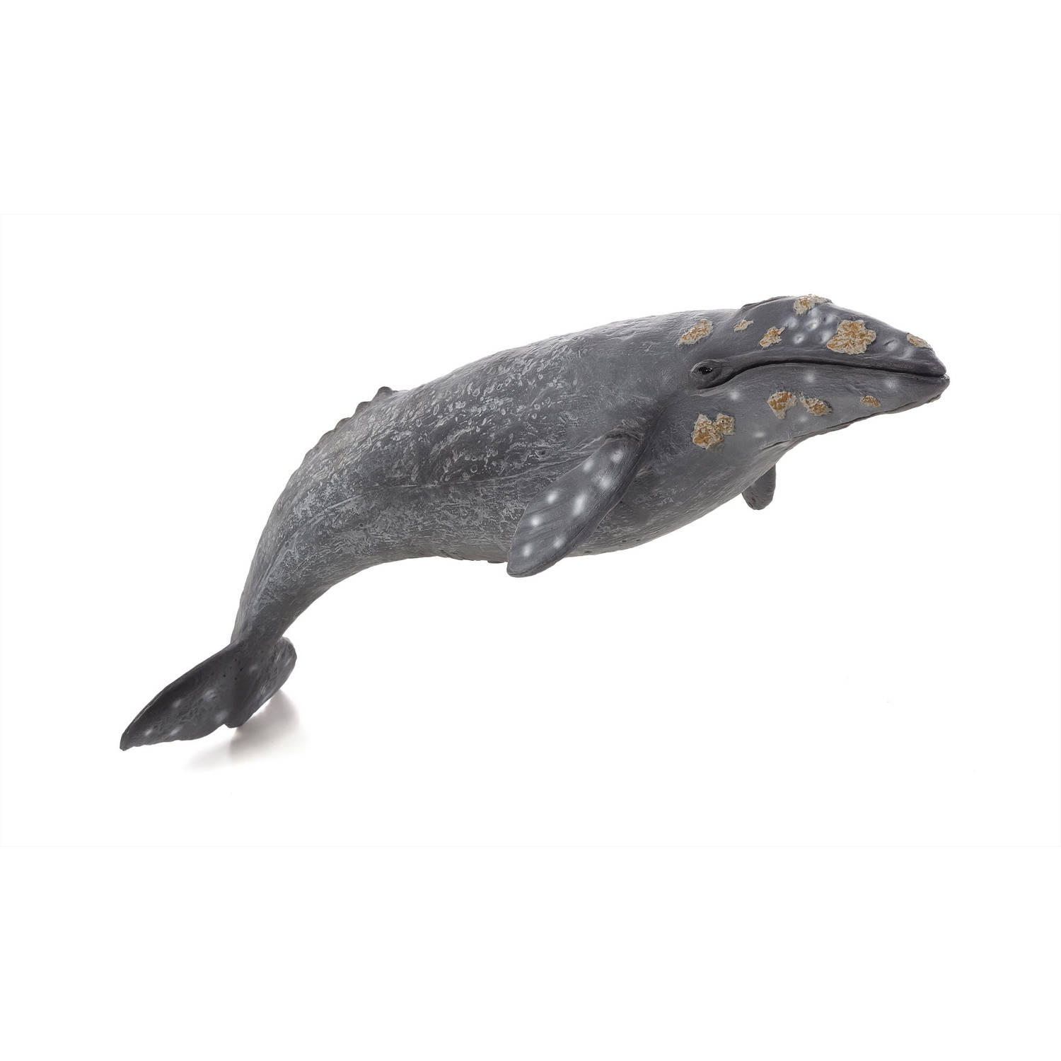 Mojo Sealife - Grijze Walvis 387280