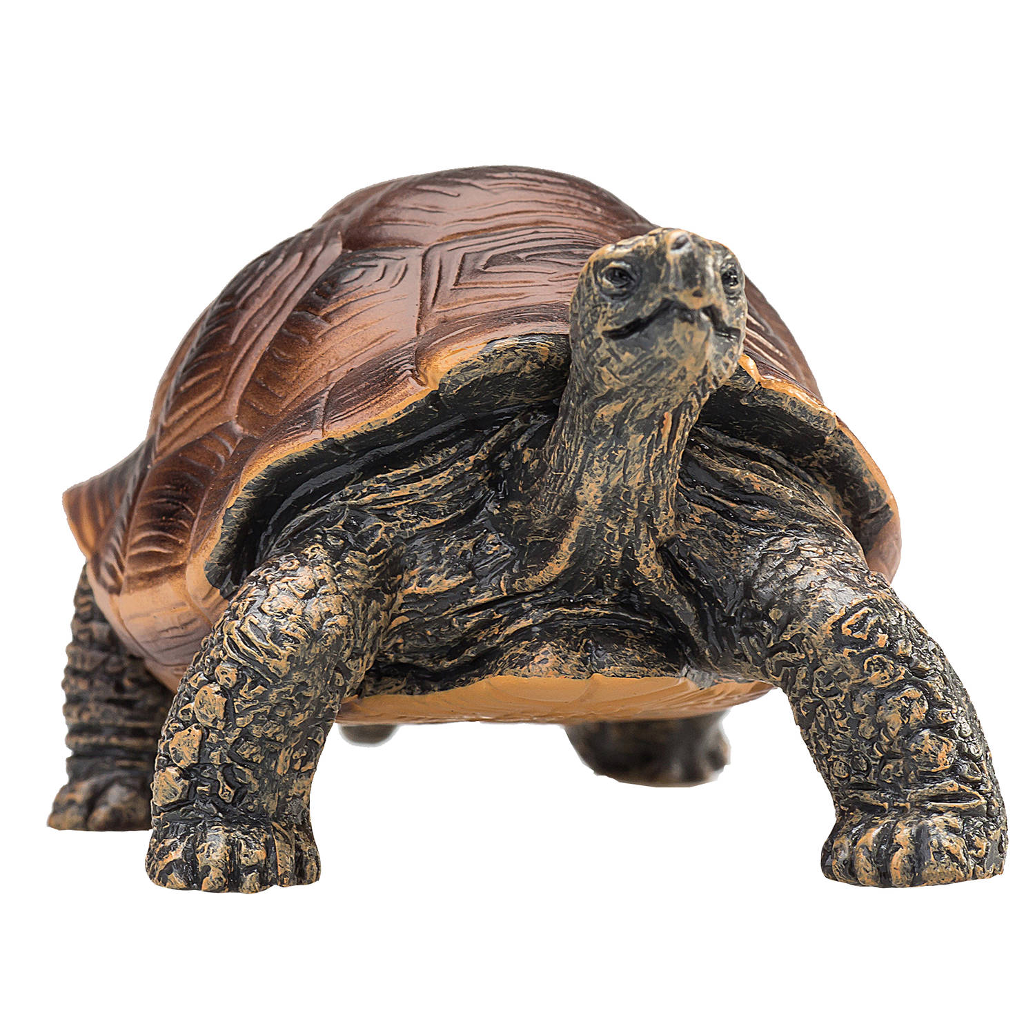 Mojo Wildlife - Reuzenschildpad 387259