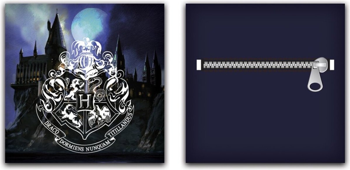 Warner Bros. kussen Harry Potter junior 40 cm polyester blauw