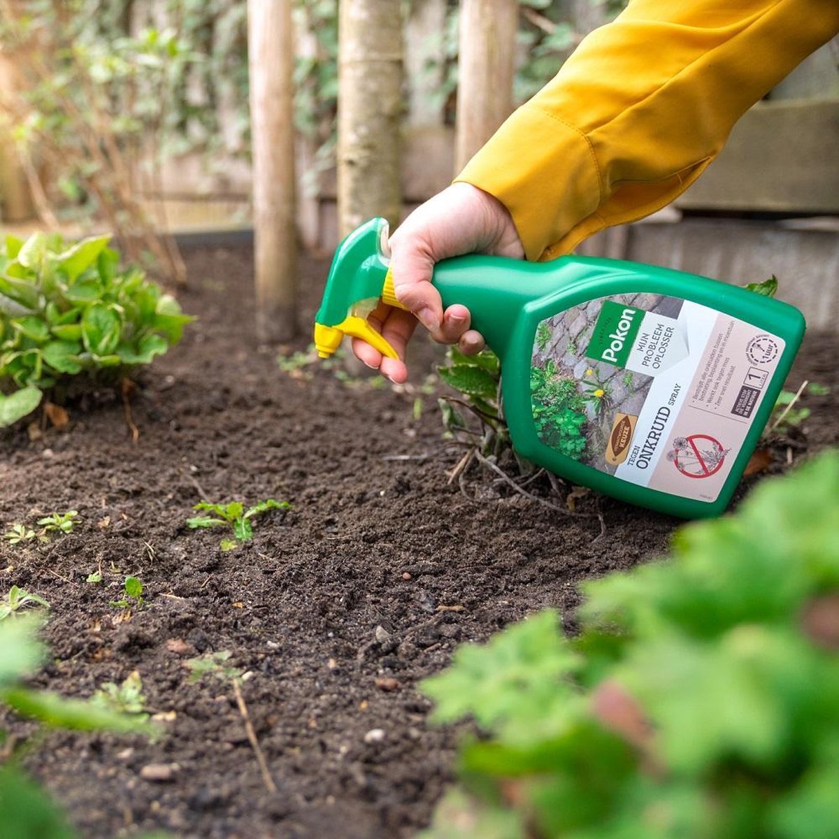 Pokon Tegen Onkruid Spray 1 Liter