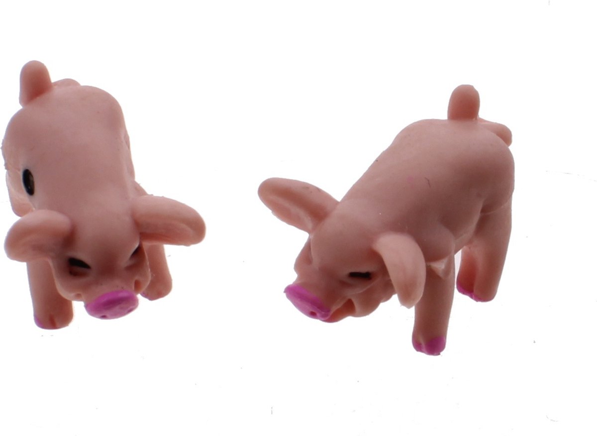 Biggen Pocket Editie