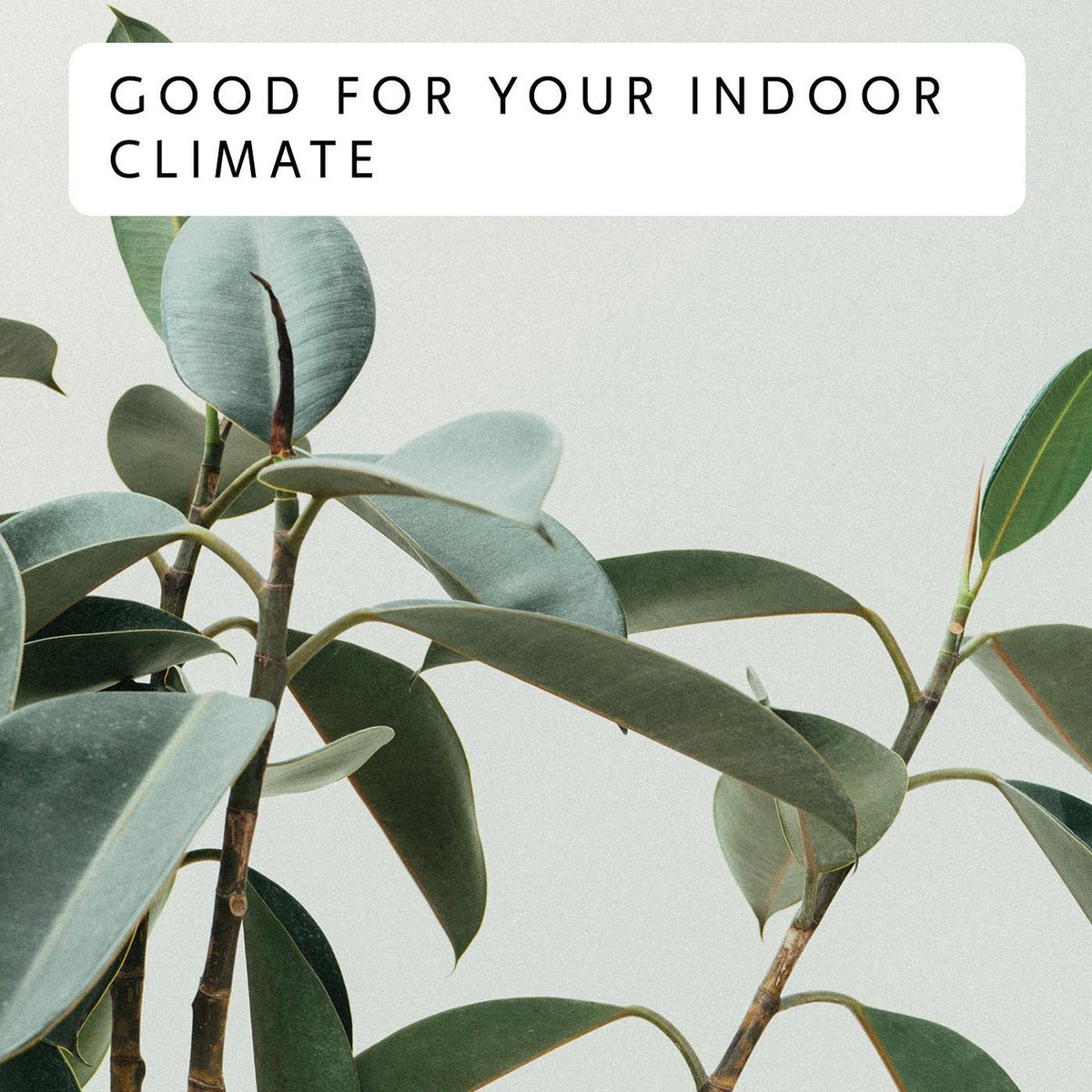 Mill PA2000WIFI3 - Wit