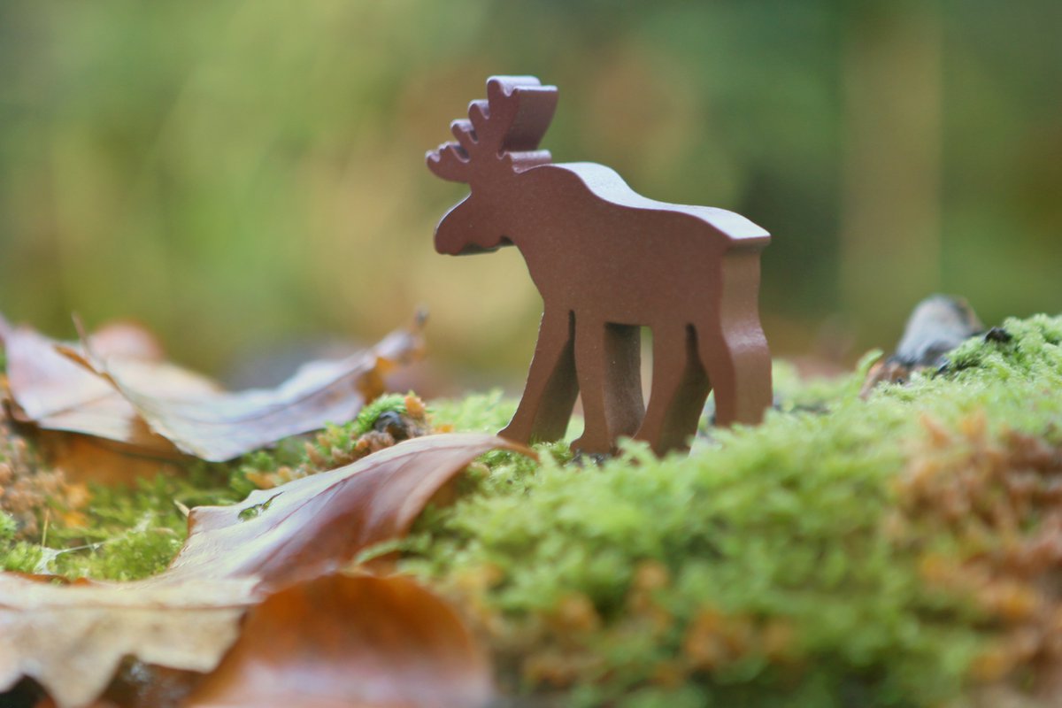 White Goblin Games gezelschapsspel Everdell: Spirecrest