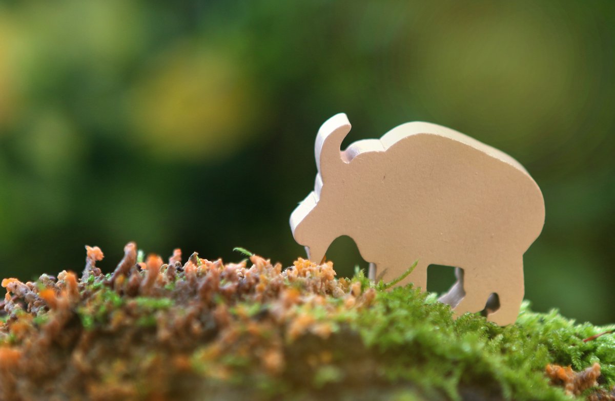 White Goblin Games gezelschapsspel Everdell: Spirecrest