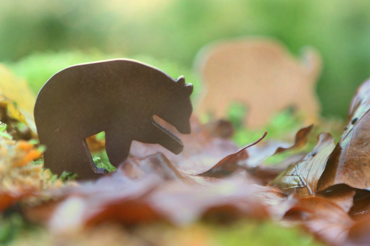 White Goblin Games gezelschapsspel Everdell: Spirecrest