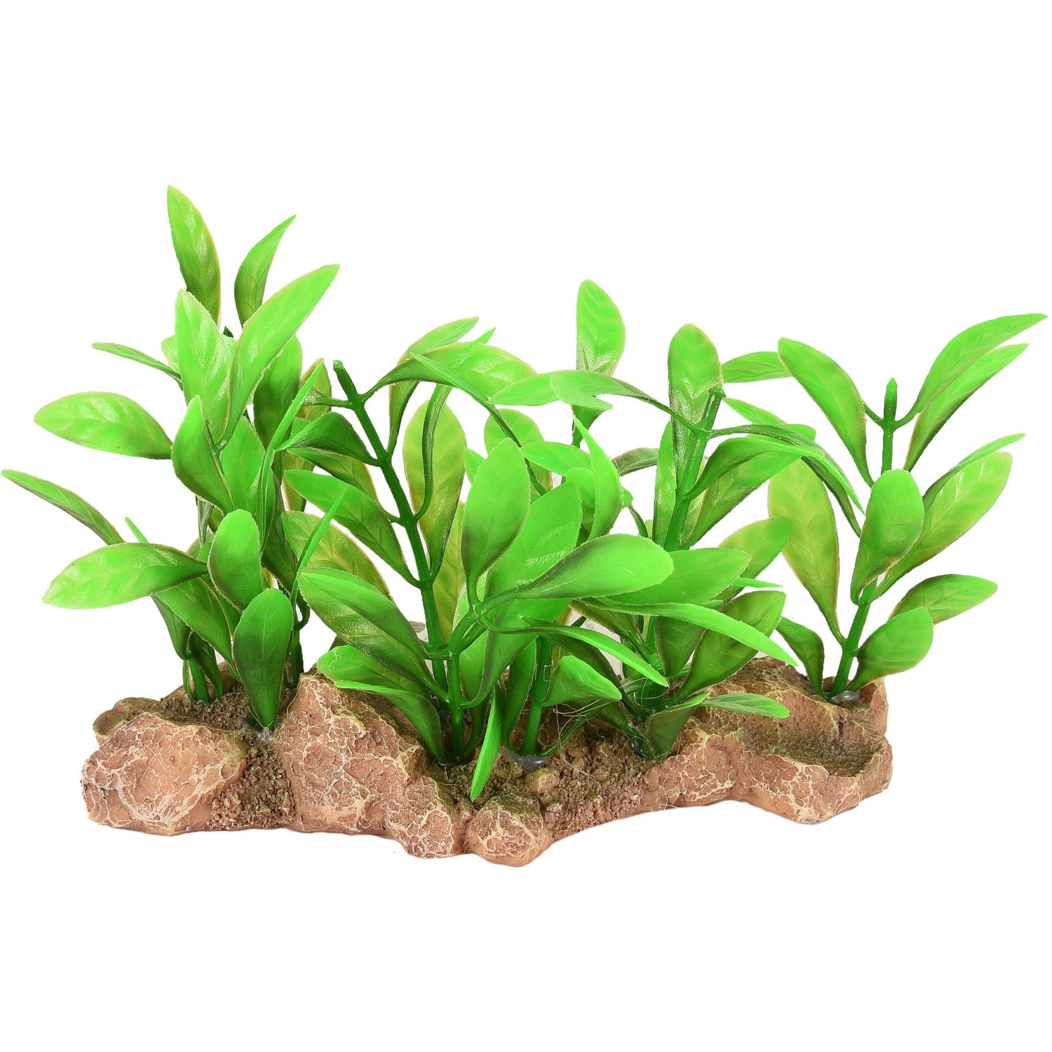 Flamingo Ad Umbra Aquariumplant 15x7x9 Cm