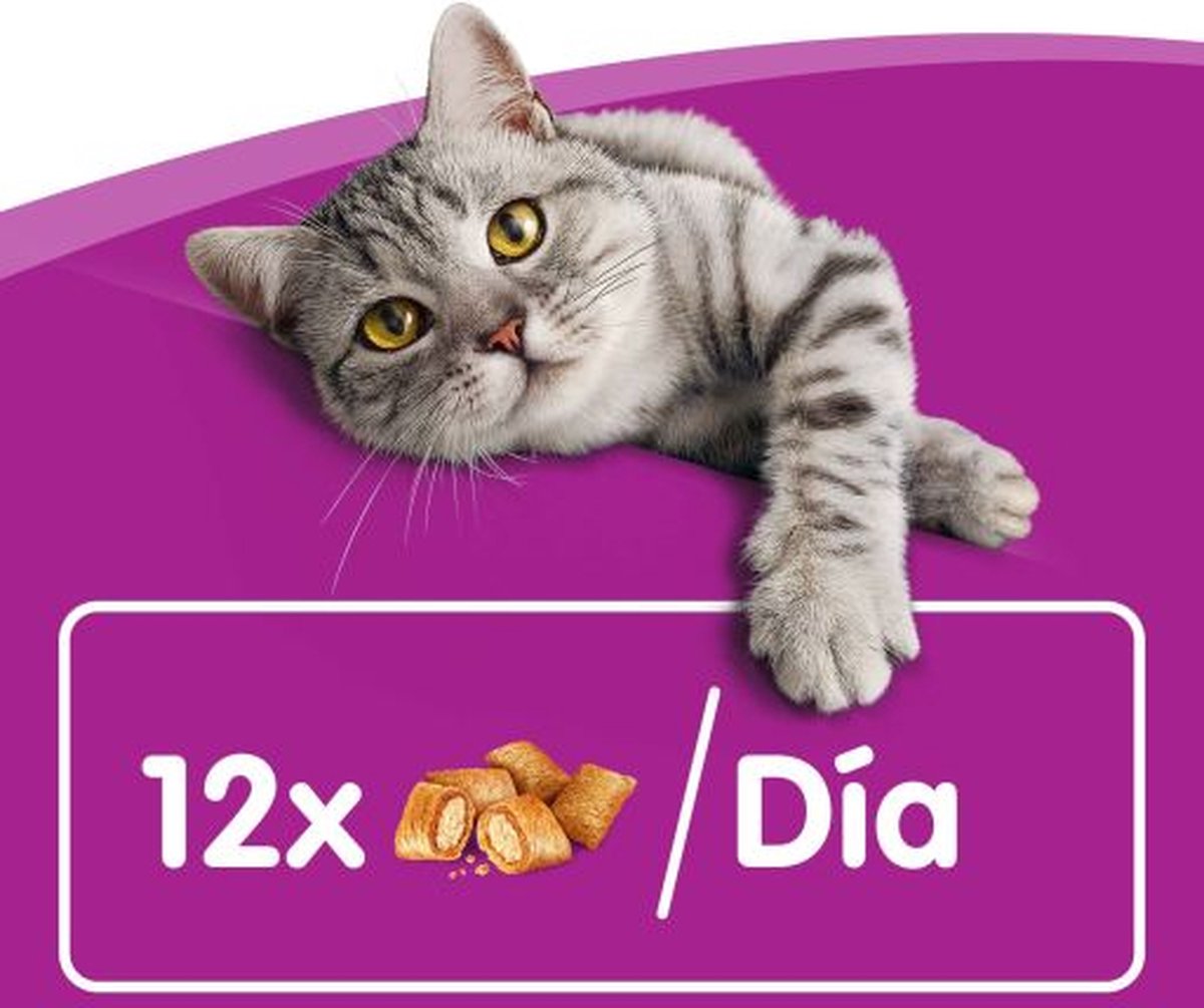 Whiskas Temptations 60 g - Kattensnack - Kip&Kaas