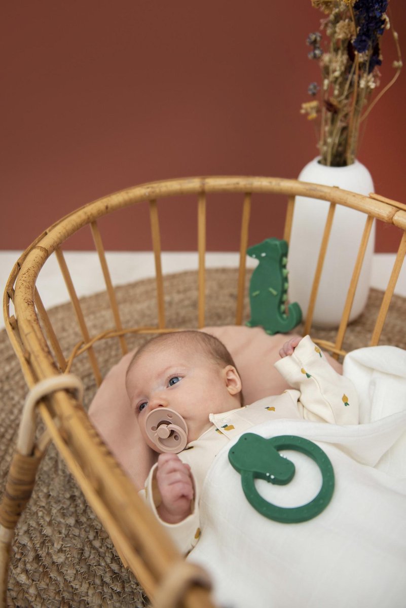 Trixie Bijt- En Badring Mr. Crocodile Junior 12 Cm Rubber - Groen