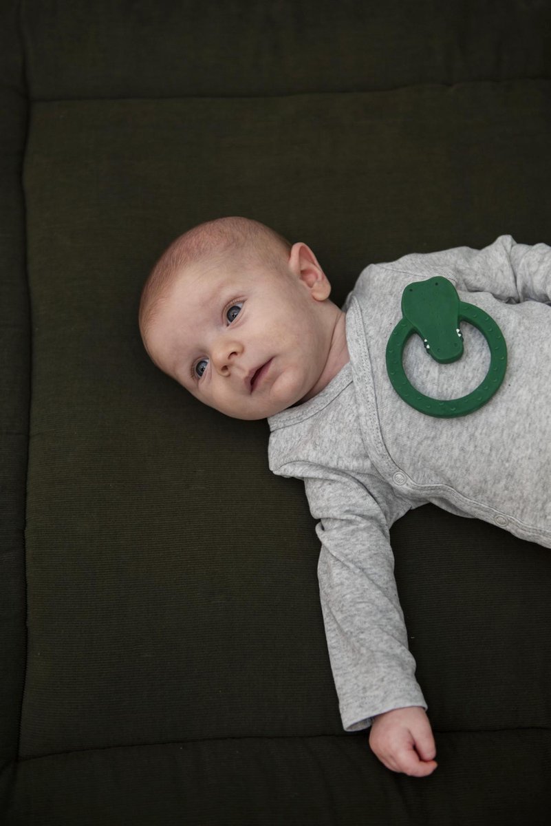 Trixie Bijt- En Badring Mr. Crocodile Junior 12 Cm Rubber - Groen