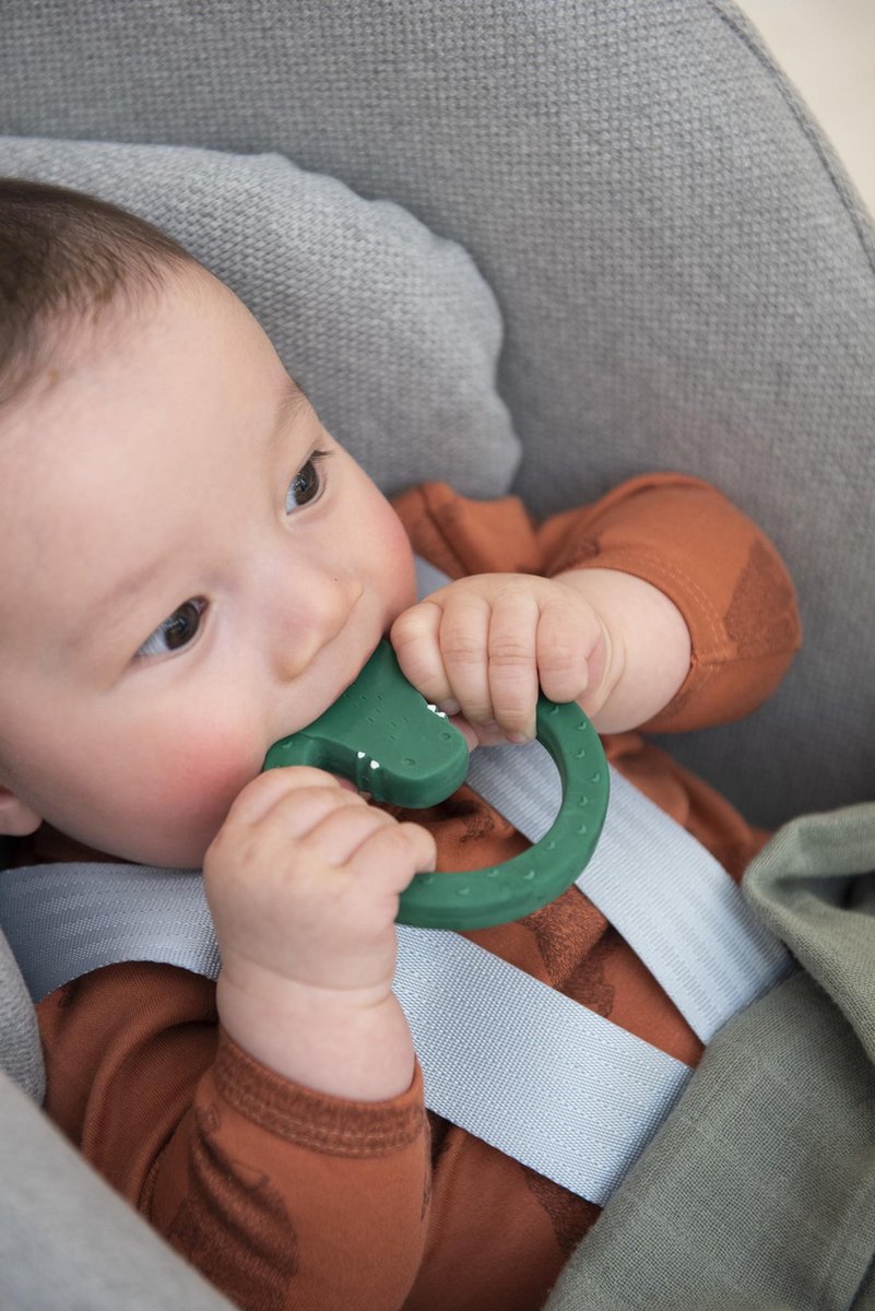 Trixie Bijt- En Badring Mr. Crocodile Junior 12 Cm Rubber - Groen