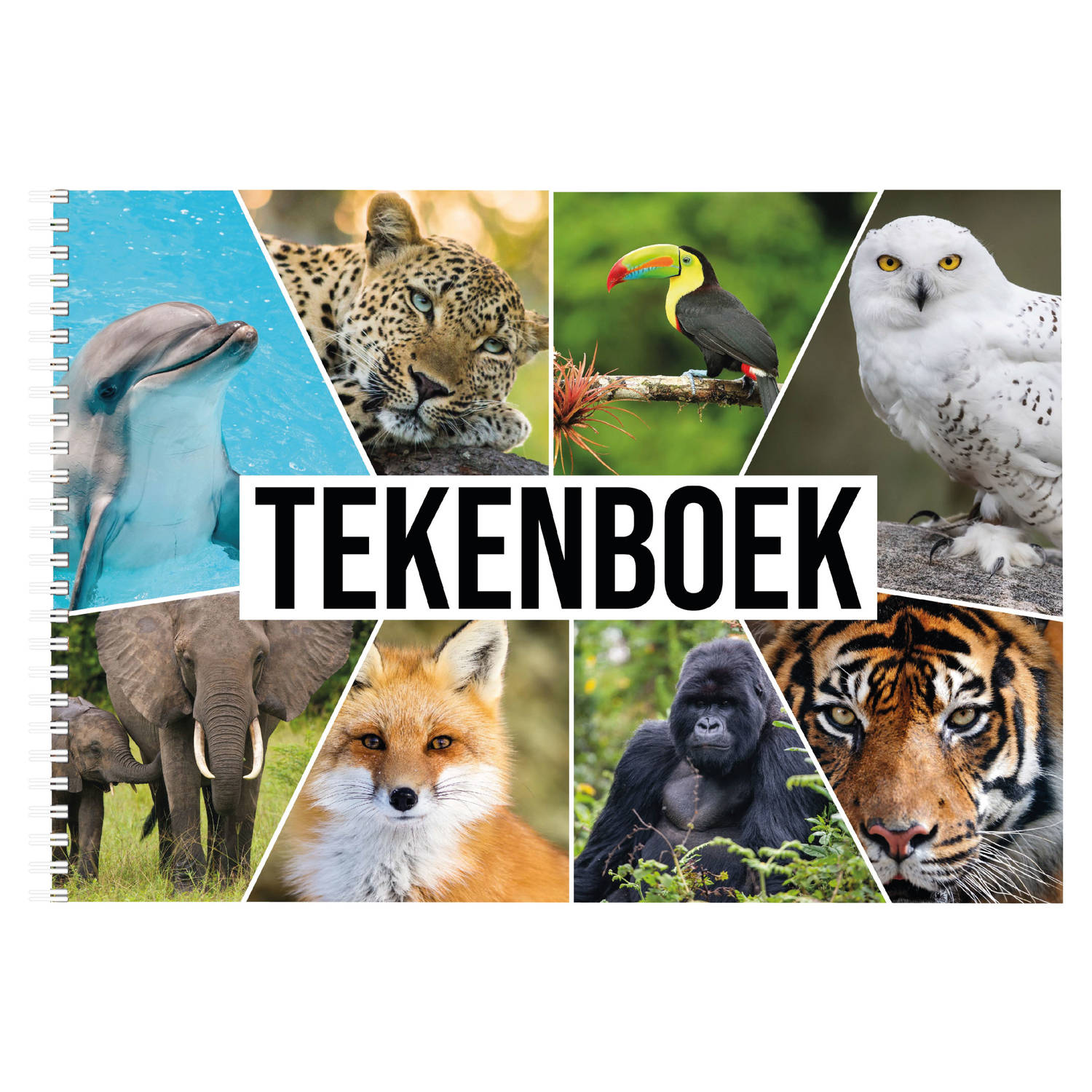 Bellatio Decorations A4 Dieren Waaier Schetsboek/ Tekenboek/ Kleurboek/ Schetsblok Papier - Schetsboeken - Wit