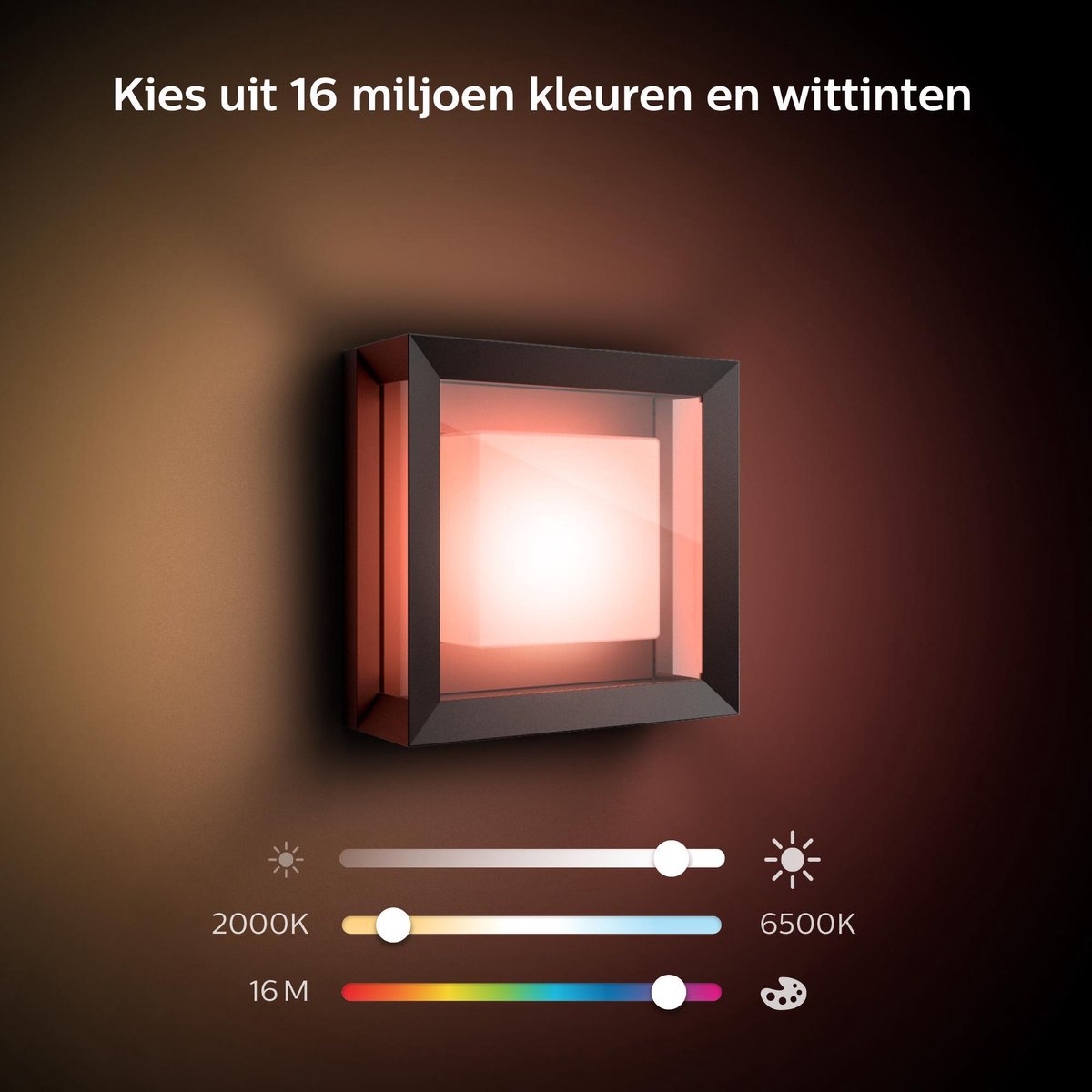 Philips Hue Econic buitenwandlamp modern - Zwart