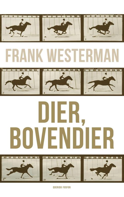 Dier, bovendier