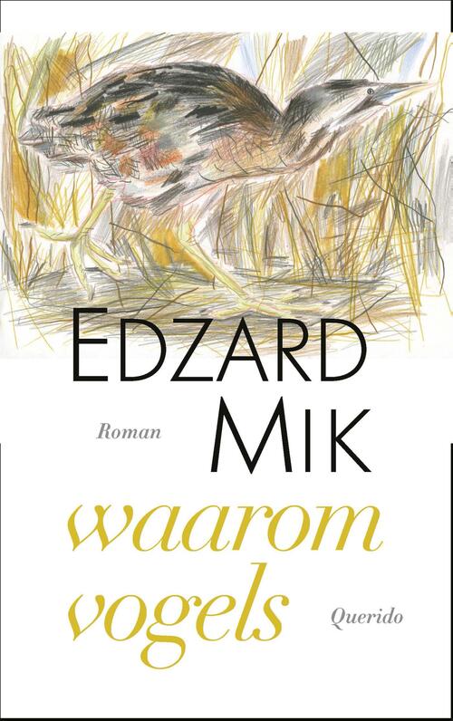 Waarom Vogels