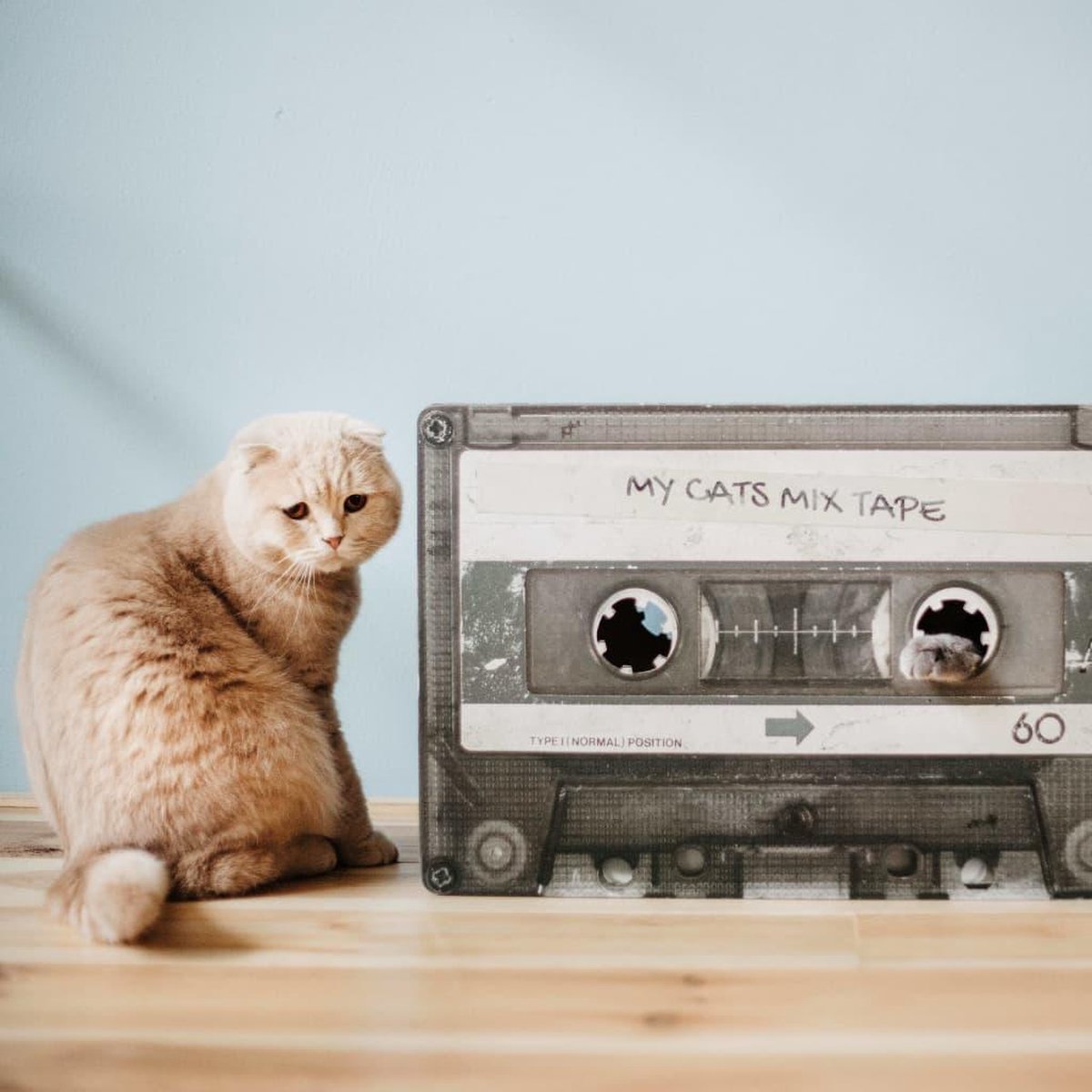 District 763 Krabmeubel Mixtape - Zwart