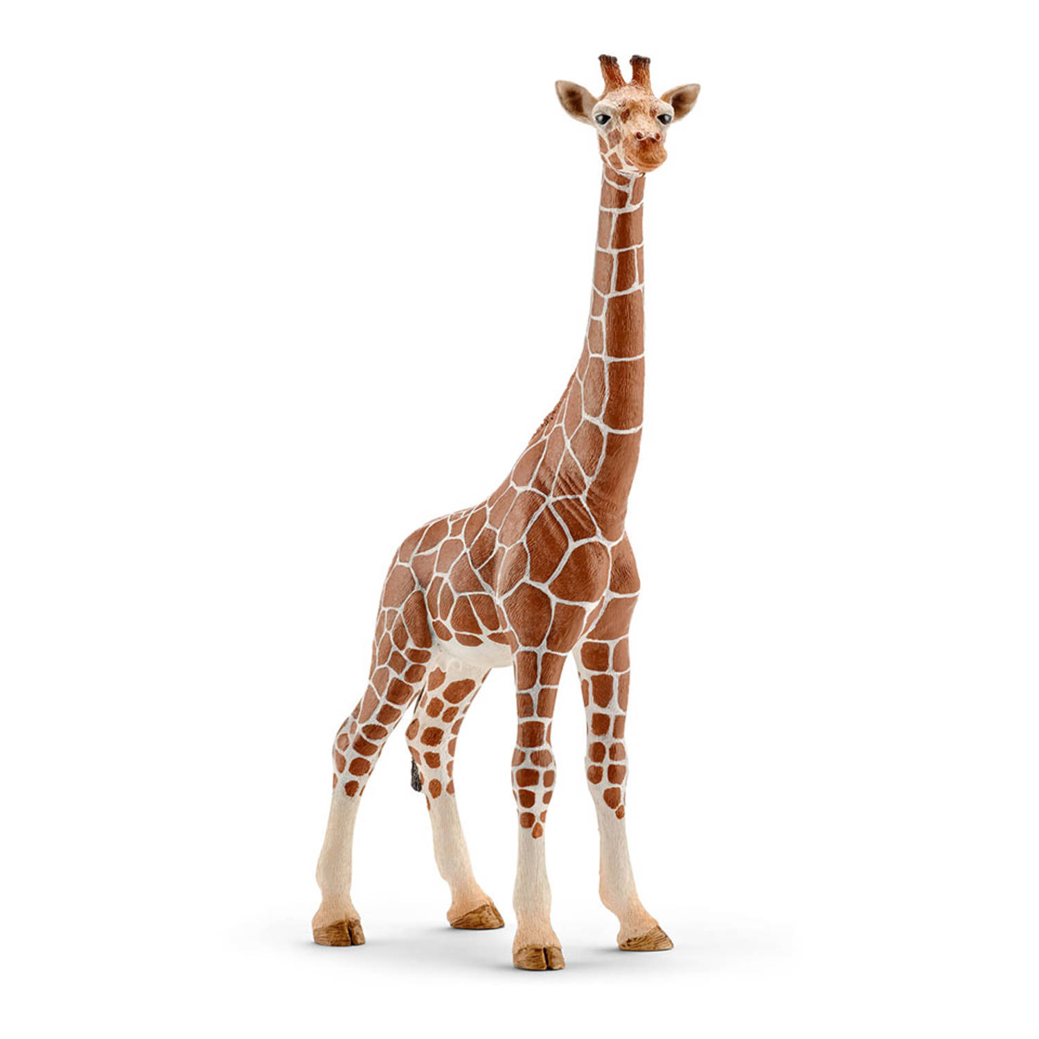 Schleich Giraffe Wijfje 14750 - Marrón