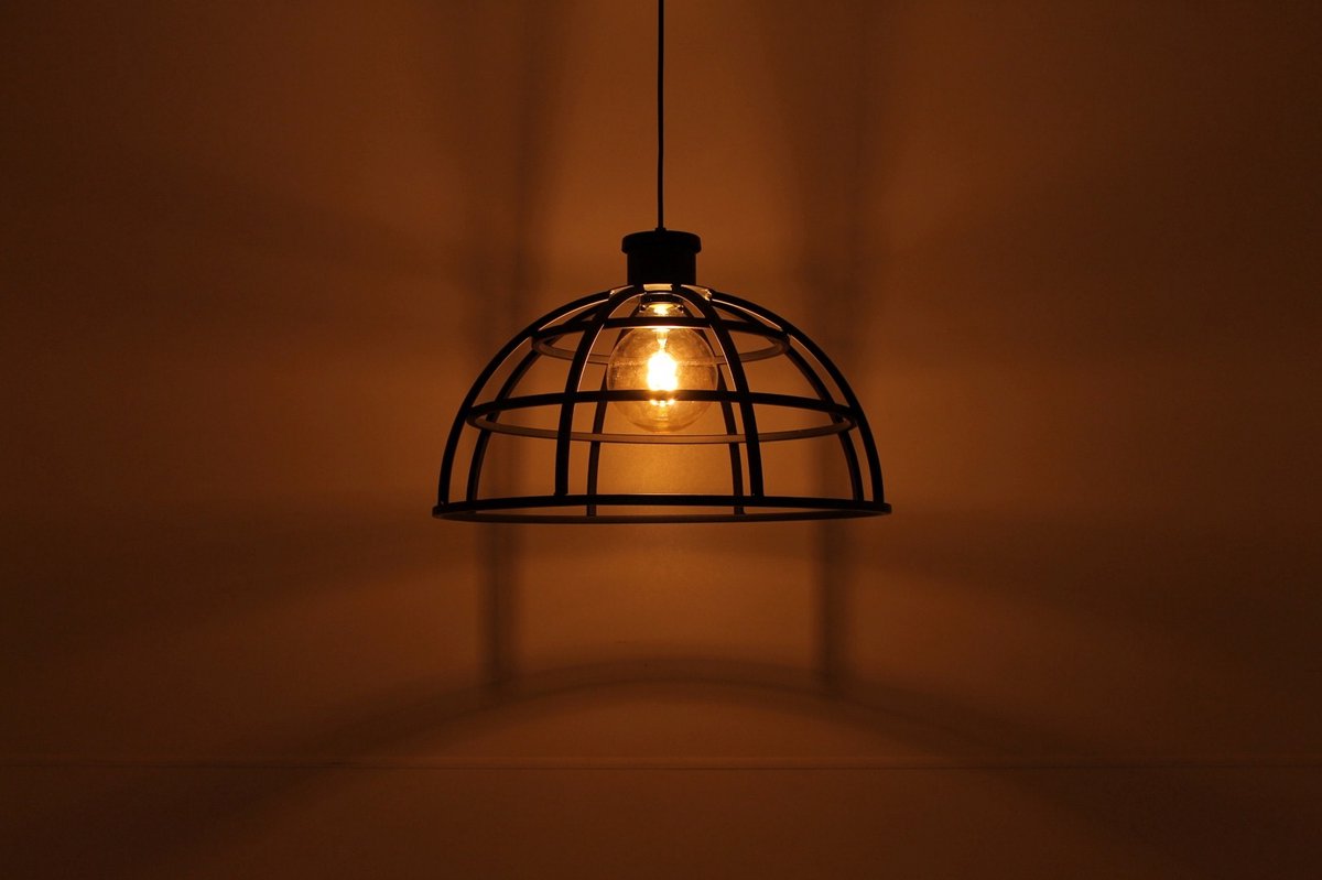 Light & Living Irini Hanglamp - Zwart