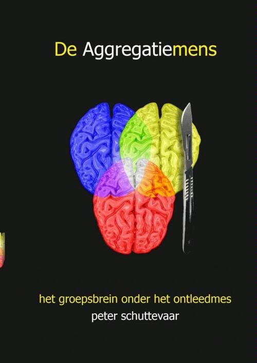 De aggregatiemens