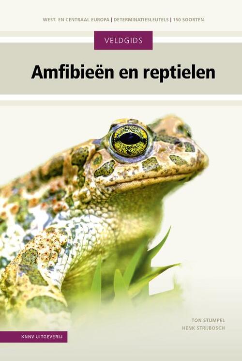 Veldgids Amfibieën en reptielen