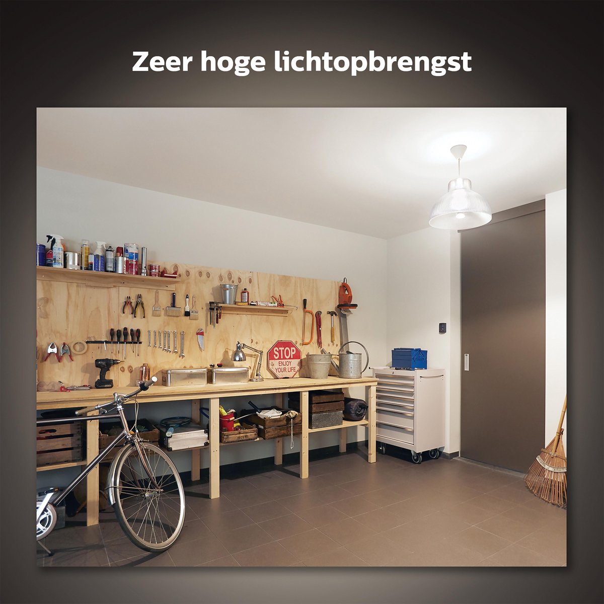 Philips White E27 15.5W Losse lamp