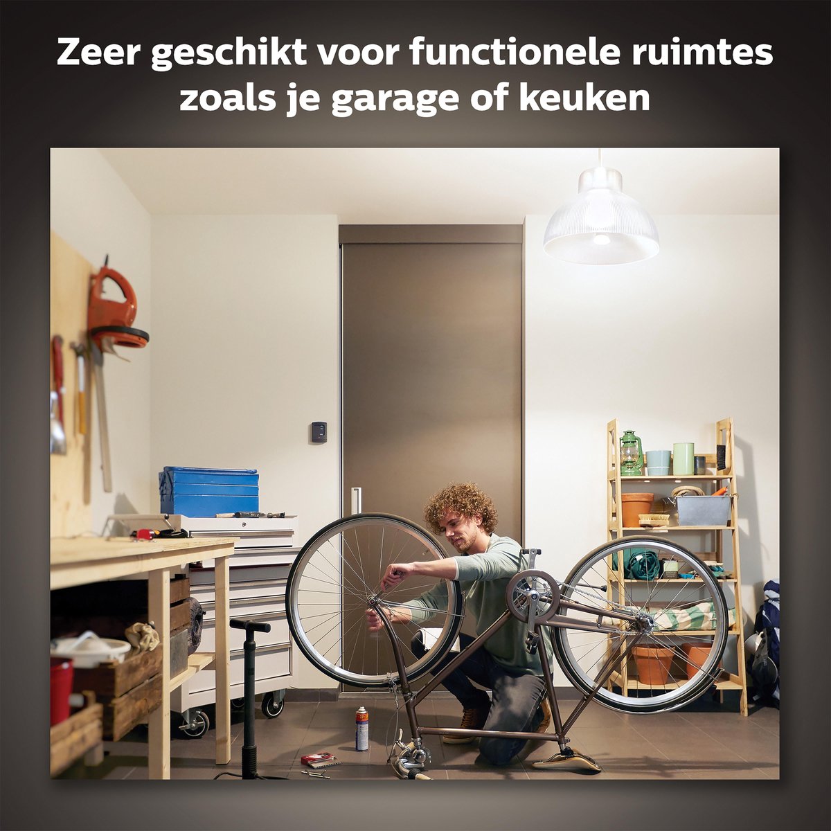 Philips White E27 15.5W Losse lamp