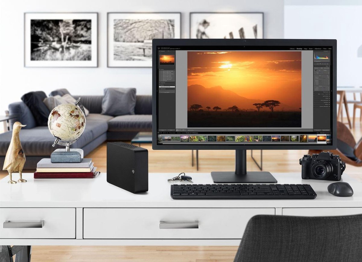 Seagate Expansion Desktop 16 TB - Zwart