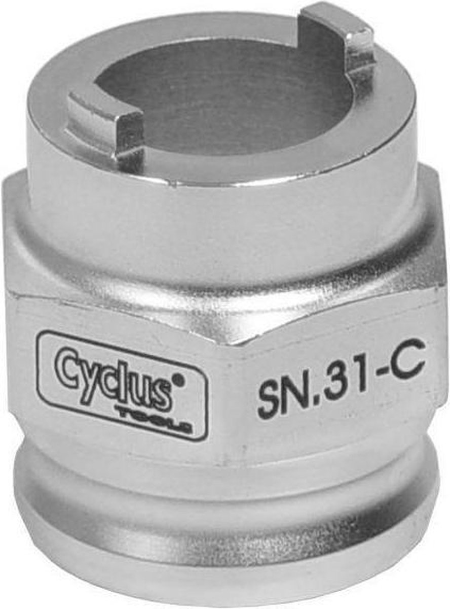 Cyclus Snap-in Sn-31-c Pion Afnemer Atom Maillard