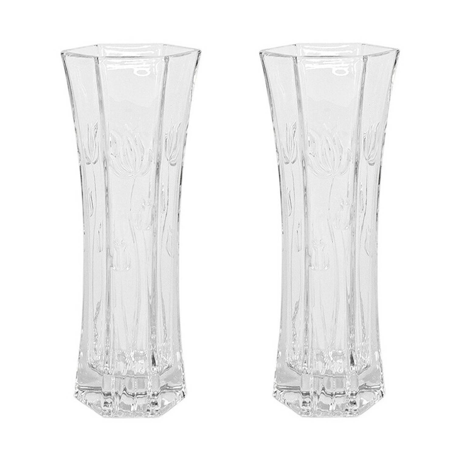 Set Van 2x Stuks Bloemenvazen Van Ornament Glas 29 X 11 Cm - Vazen