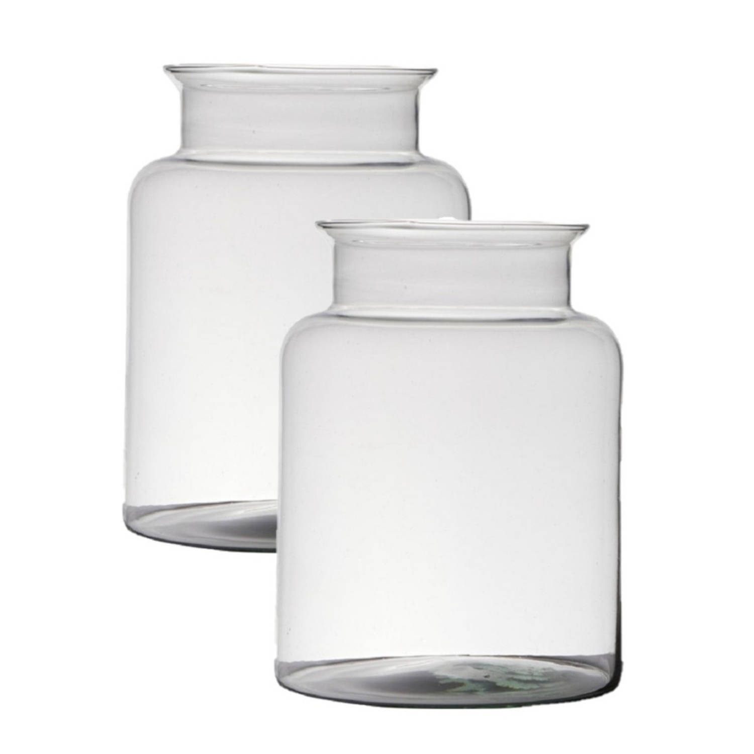 Bellatio Design 2x Stuks Transparante Home-basics Vaas/vazen Van Glas 25 X 19 Cm - Vazen