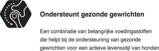 Dog Senior Medium & Large Breed Sensitive Zalm - Hondenvoer - 14 kg