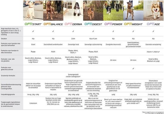 Dog Senior Medium & Large Breed Sensitive Zalm - Hondenvoer - 14 kg