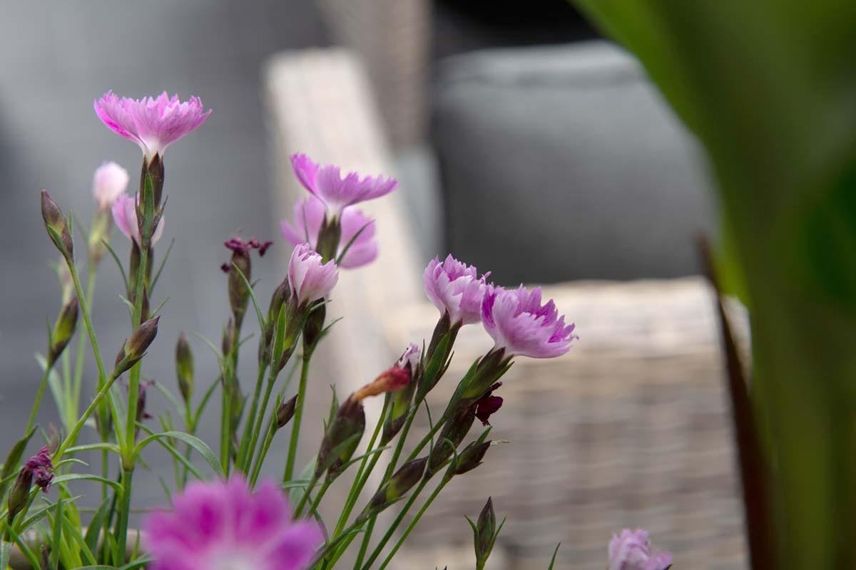 Garden Impressions - Seagull Loungedining Set - 5 Delig - Rechts - Vintage Willow - Grijs