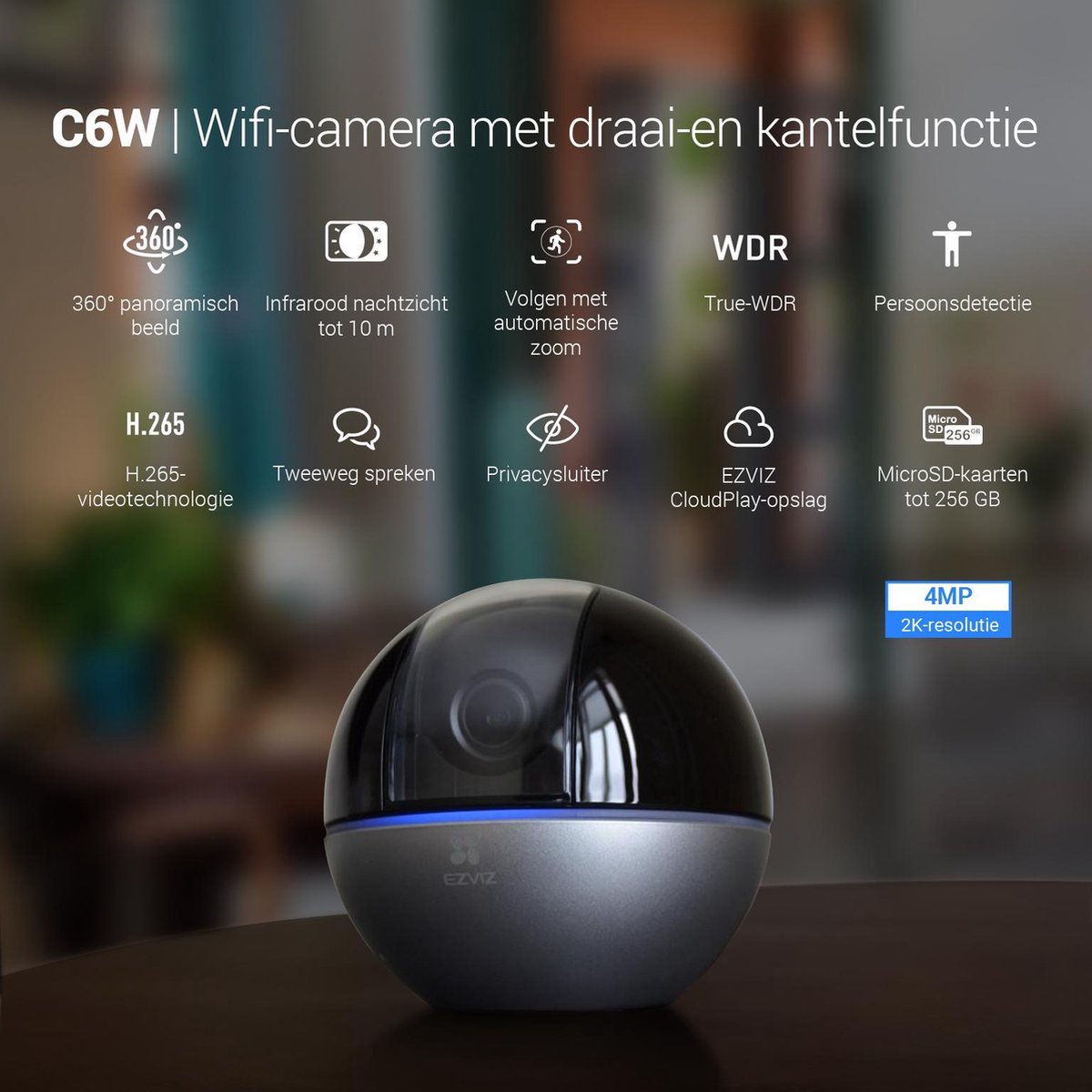 Hikvision C6W 4MP - Zwart
