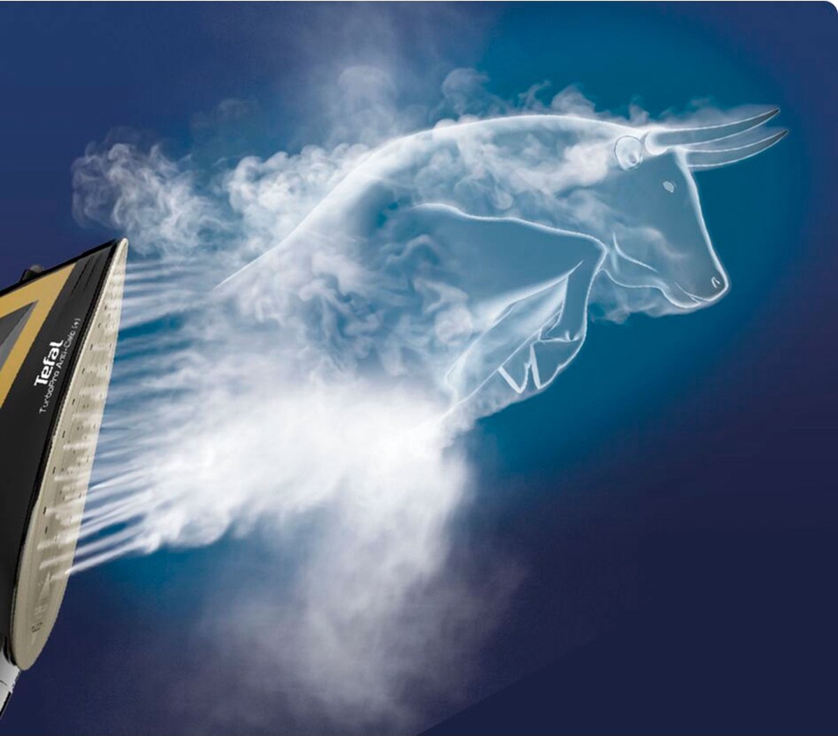 Tefal stoomstrijkijzer FV5696 - Zwart