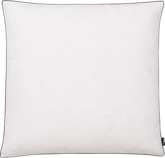 Vidaxl Kussens Licht 80x80 Cm Dons-/verenvulling 2 St - Wit